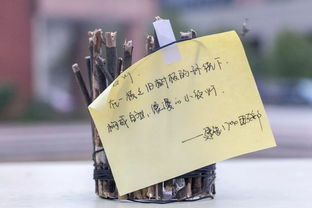 創(chuàng)意制作，一起開(kāi)開(kāi)腦洞