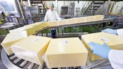 恒天然斥資2000萬(wàn)擴(kuò)建工廠，全力擁抱中國(guó)奶酪市場(chǎng)新浪潮